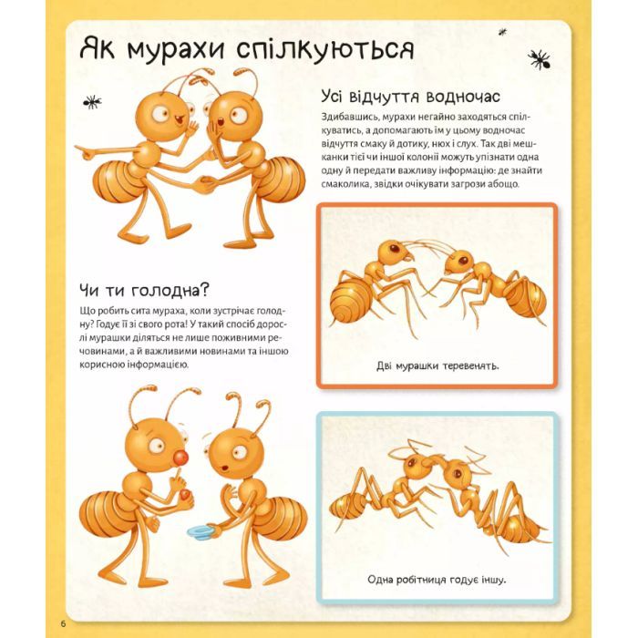 Книга Світ мурах - Штєпанка Секанінова Vivat (9786171703186) изображение 7