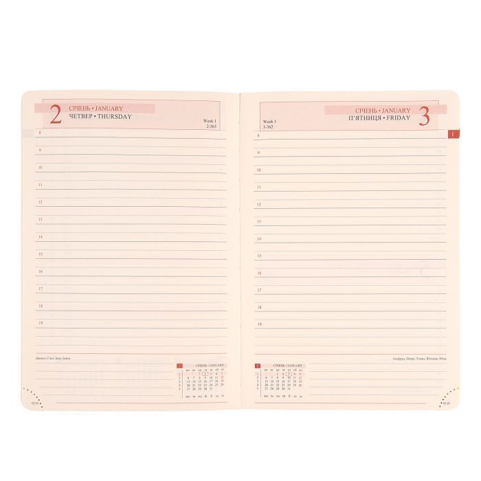 Тижневик Leo planner датований 2025 Identico 12x20 см синій (252512) зображення 5