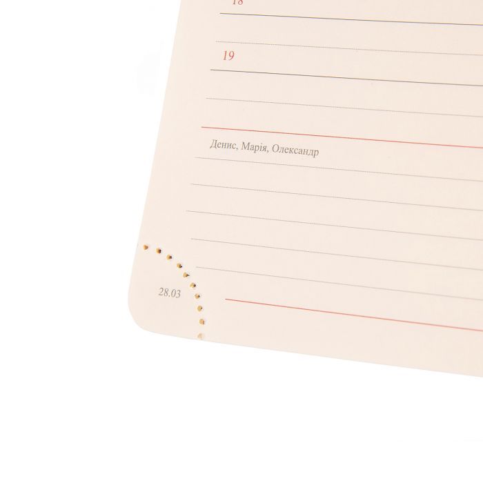 Тижневик Leo planner датований 2025 Identico 12x20 см синій (252512) зображення 8