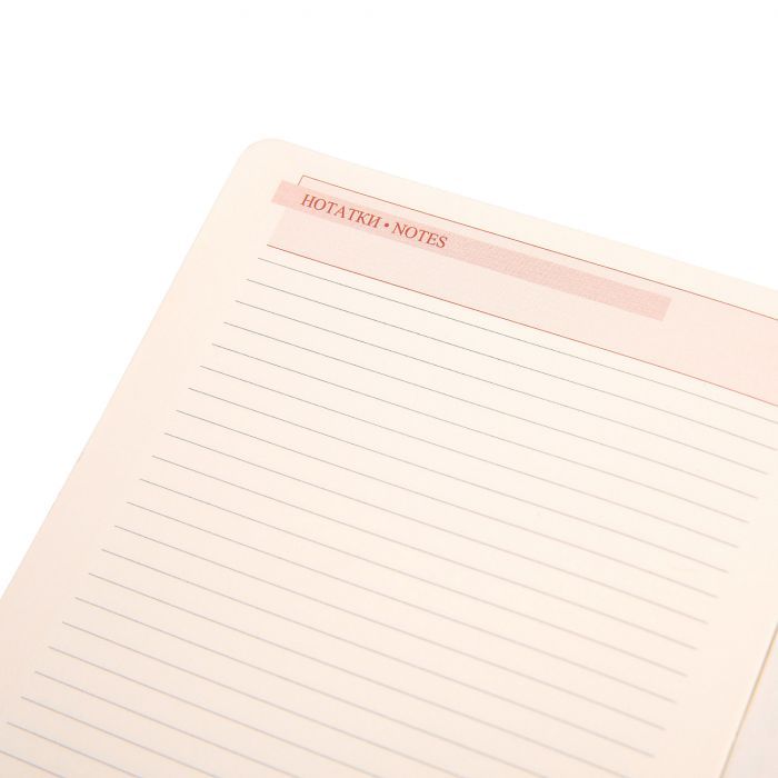 Тижневик Leo planner датований 2025 Identico 12x20 см синій (252512) зображення 9