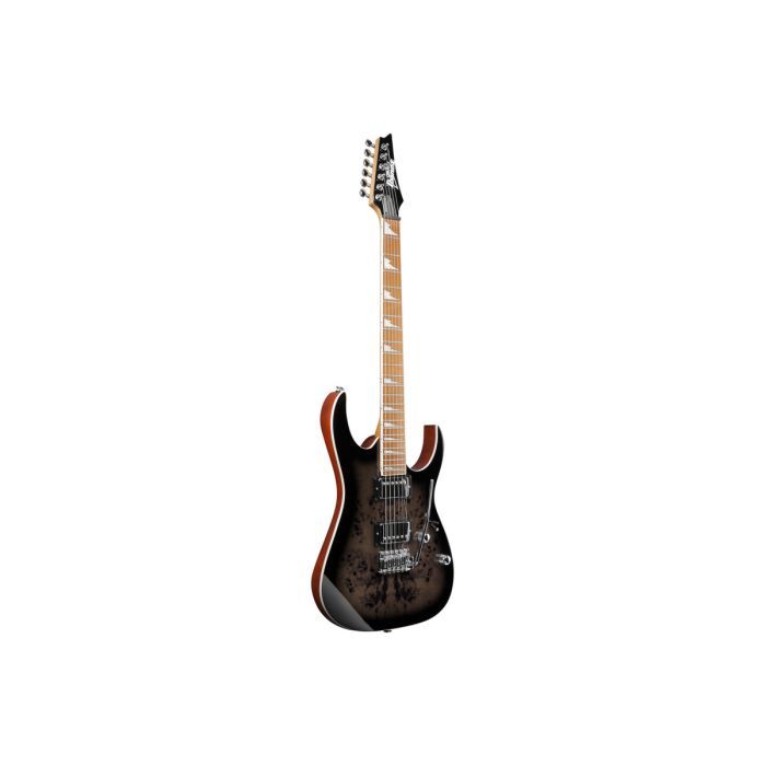 Электрогитара Ibanez GRG220PA1 (234184) изображение 3