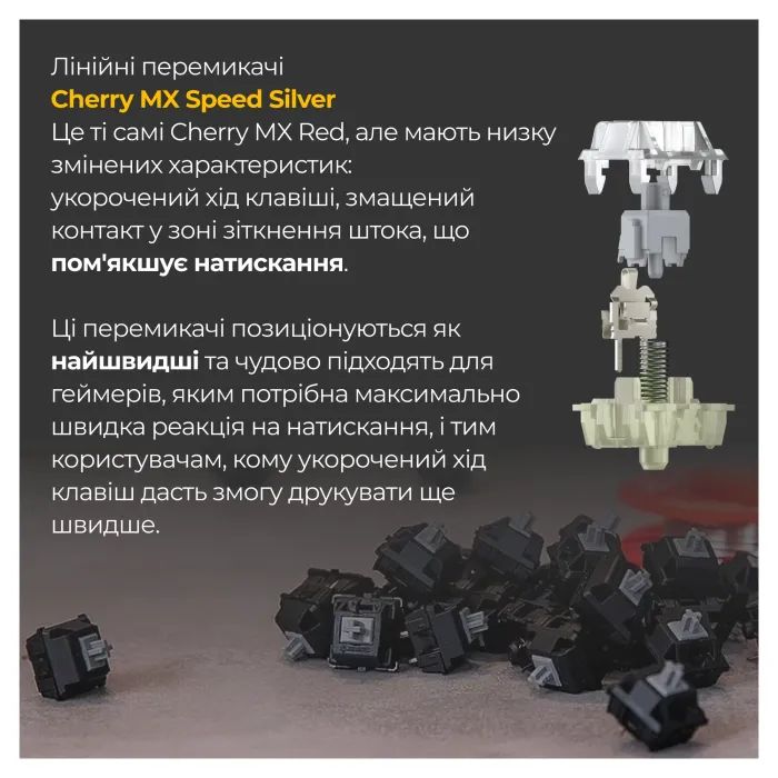Клавиатура Ducky One 3 TKL Cherry MX Speed Silver RGB UA USB Black (DKON2187ST-PUAPXCLAWSC1) изображение 5