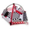 Дитячий килимок Canpol гімнастичний Sensory Toys (68/077) зображення 2