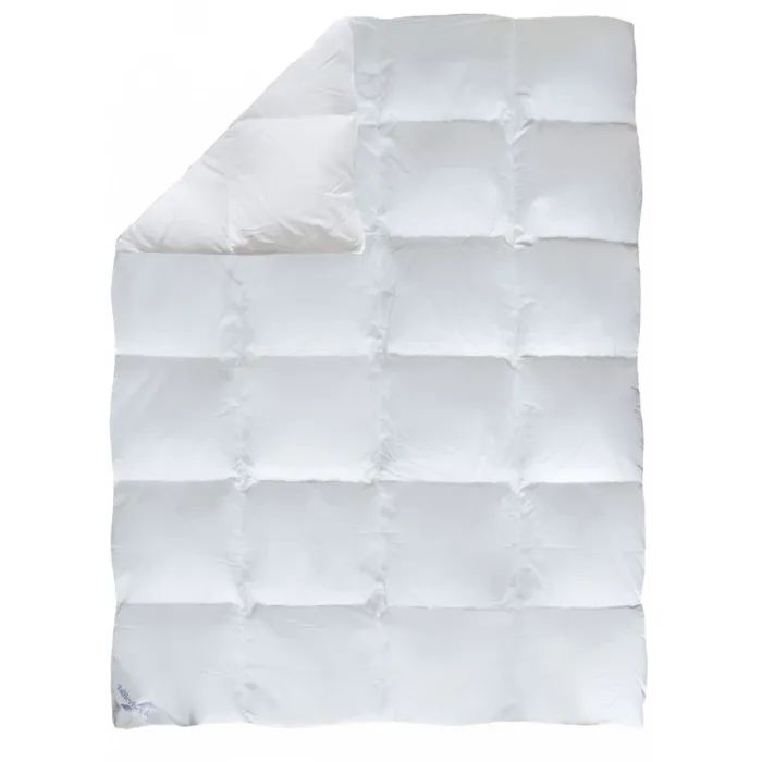 Ковдра Biederlack пухова касетна Діана К2 172х205 см (0590-32/02)