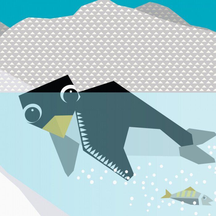 Книга Полярні друзі - Роджерс Мадлєн Ранок (9789667490126) изображение 5