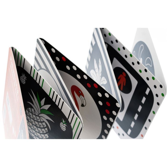 Книга Ростунчики. Контрастна книжка для немовляти Ранок (9789667510657) изображение 3