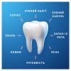 Зубная паста Oral-B Pro-Expert Успокаивающее чувство 75 мл (8006530090773) изображение 6