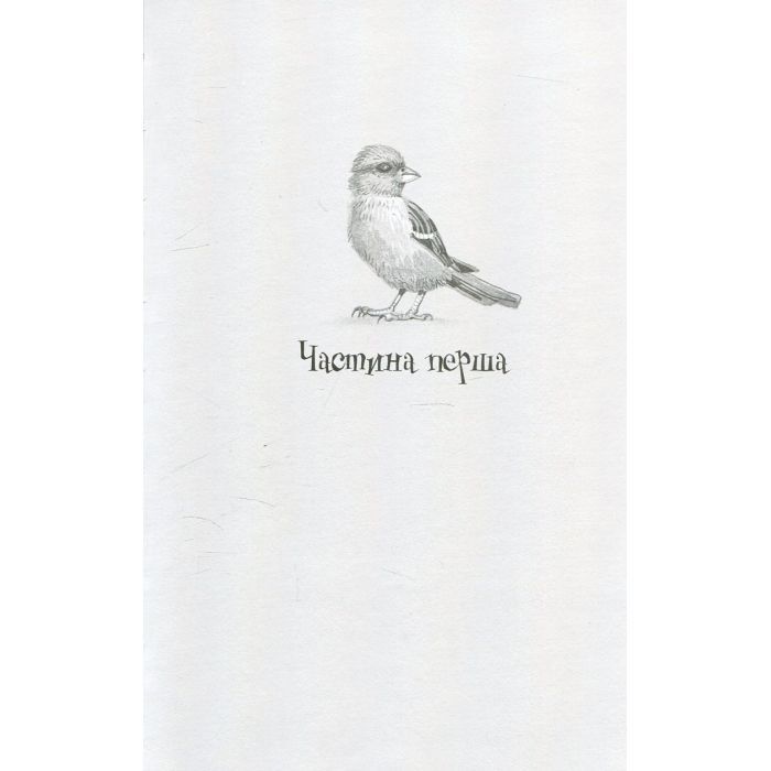 Книга Душниця - Володимир Аренєв А-ба-ба-га-ла-ма-га (9786175854273) изображение 10