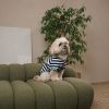 Футболка для тварин Pet Fashion Breeze S (4823082445806) зображення 3