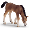 Фигурка Schleich Пасущийся арабский жеребенок (13652)