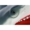 Игровой набор Same Toy рукавичка Акула (X301UT) изображение 3
