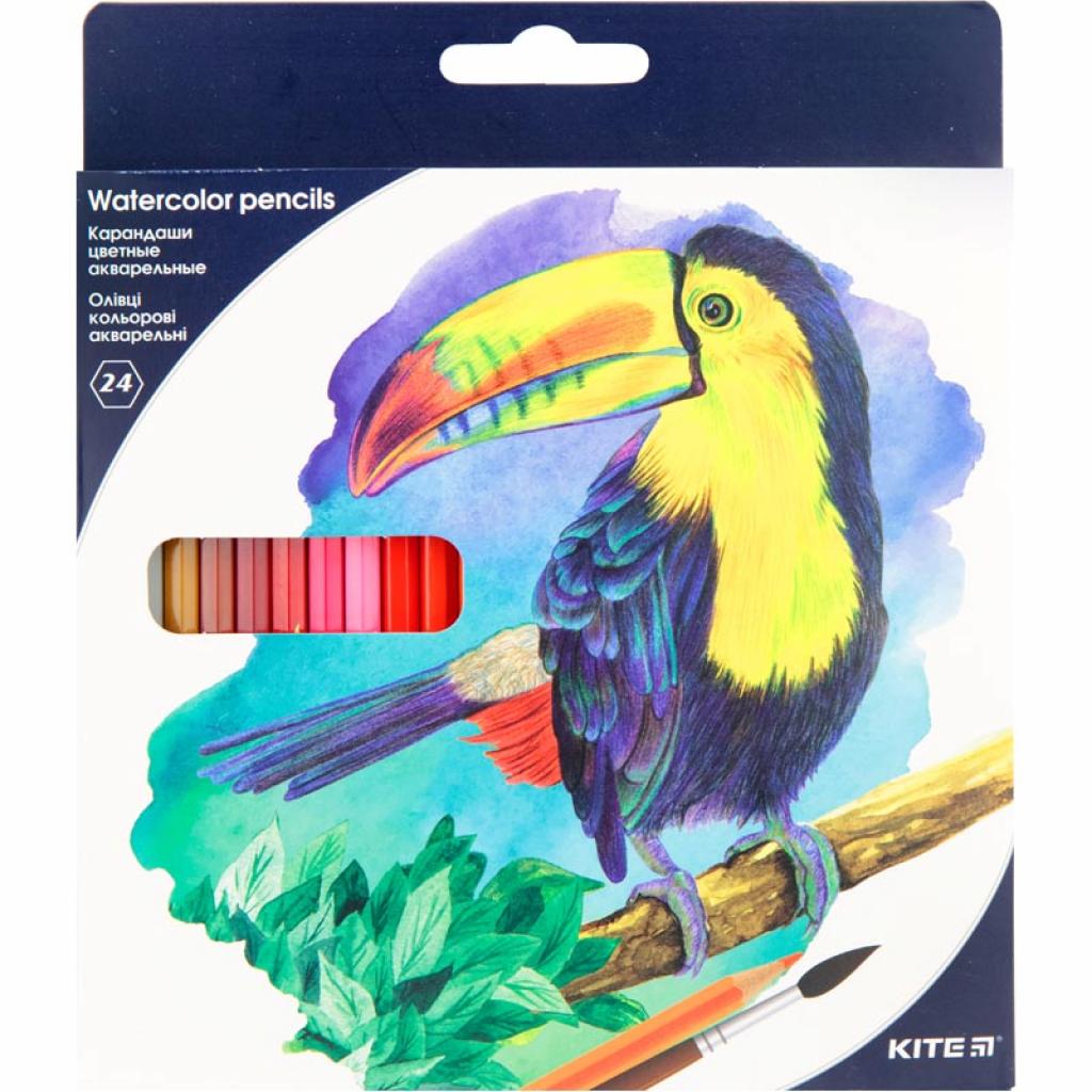 Карандаши цветные Kite Птицы акварельные 24 цветов (K18-1050)