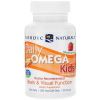 Жирные кислоты Nordic Naturals Омега для детей для ежедневного употребления, Daily Omega Ki (NOR-01817)