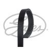 Поликлиновый ремень Gates 5PK2020