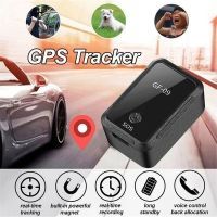 GPS трекер Voltronic GF-22+WiFi, точність позиціювання GPS: 10m, Box, 42x2 (GF-22) изображение 3