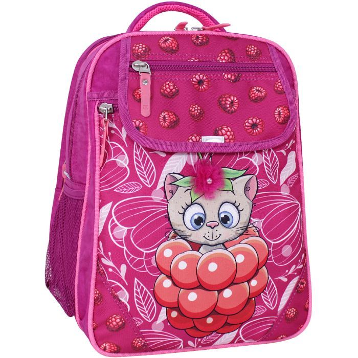 Рюкзак школьный Bagland Отличник 20 л. 143 малина 899 (0058070) (418214845)