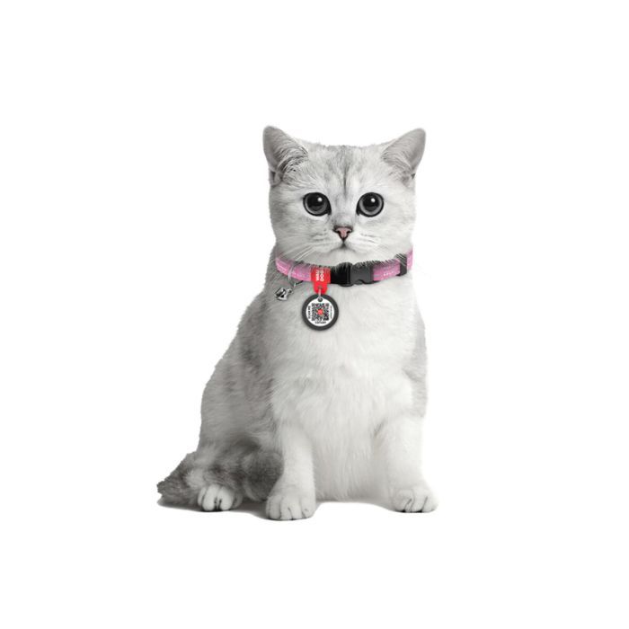 Ошейник для животных WAUDOG Re-cotton с QR паспортом, пластиковый фастекс XS оранжевый (16424) изображение 3
