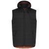 Жилет Hallyard Bjorn Black 2XL (bjorn/7794-001 2XL)