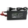 Мережевий зарядний пристрій для АКБ Voltronic LiFePO4 14.6V,4S,5A (YT-CKS-14650) зображення 2