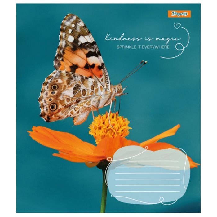 Зошит 1 вересня Butterfly А5 24 аркушів клітинка (767273) зображення 2
