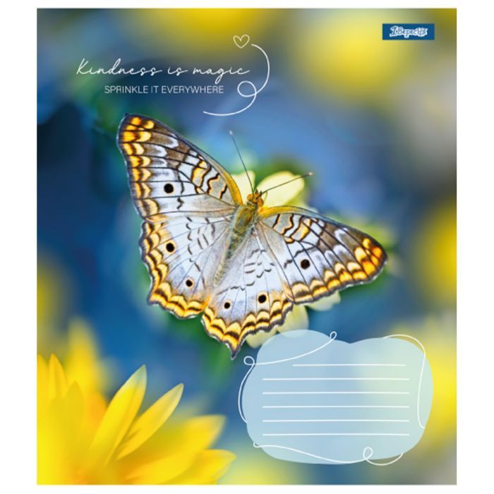 Зошит 1 вересня Butterfly А5 24 аркушів клітинка (767273) зображення 3