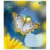 Зошит 1 вересня Butterfly А5 24 аркушів клітинка (767273) зображення 3