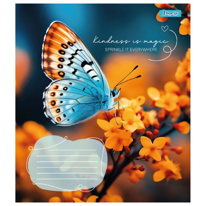 Зошит 1 вересня Butterfly А5 24 аркушів клітинка (767273) зображення 4