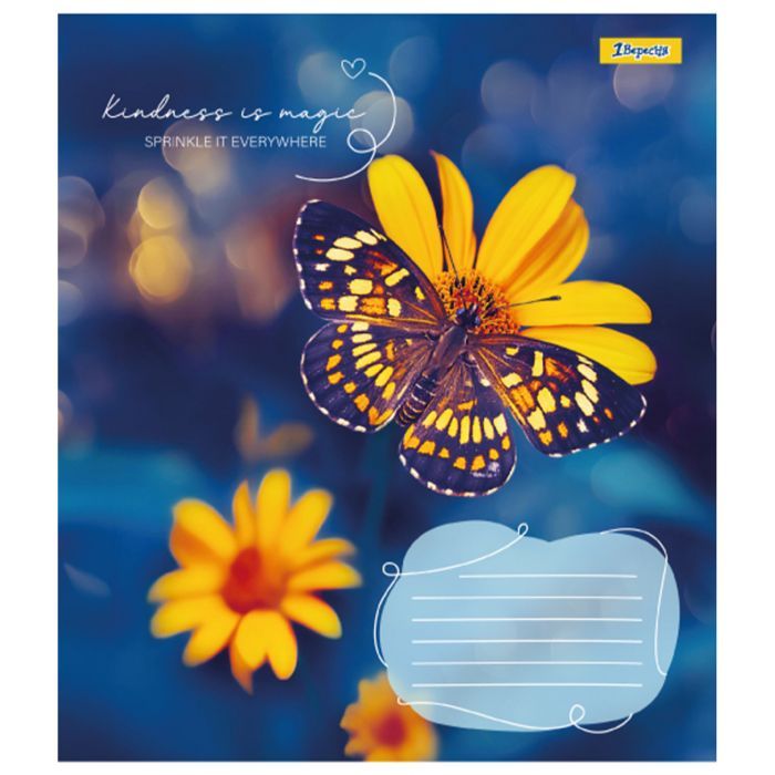 Зошит 1 вересня Butterfly А5 24 аркушів клітинка (767273) зображення 6