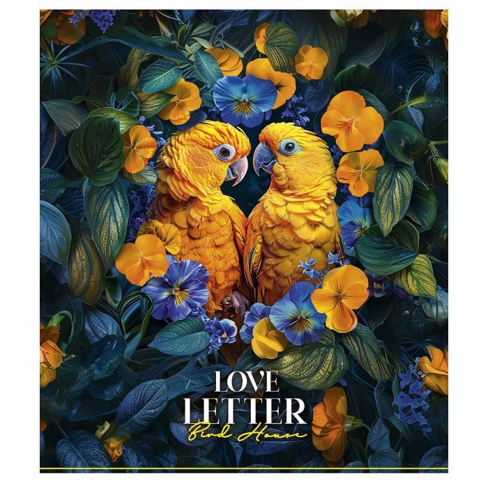 Тетрадь Школярик Bird house 96 листов клетка (096-3478K) изображение 4