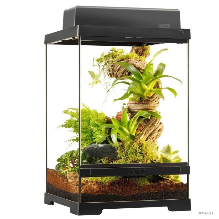 Тераріум ExoTerra для екзотичних тварин Pro Terrarium скляний 30x30x45 см (15561244015)