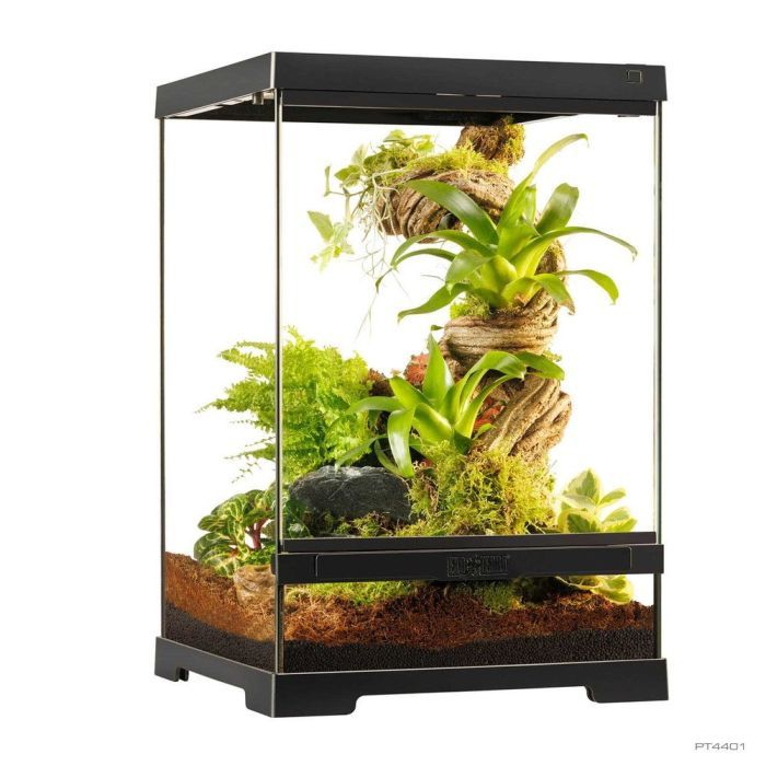 Тераріум ExoTerra для екзотичних тварин Pro Terrarium скляний 30x30x45 см (15561244015) зображення 3