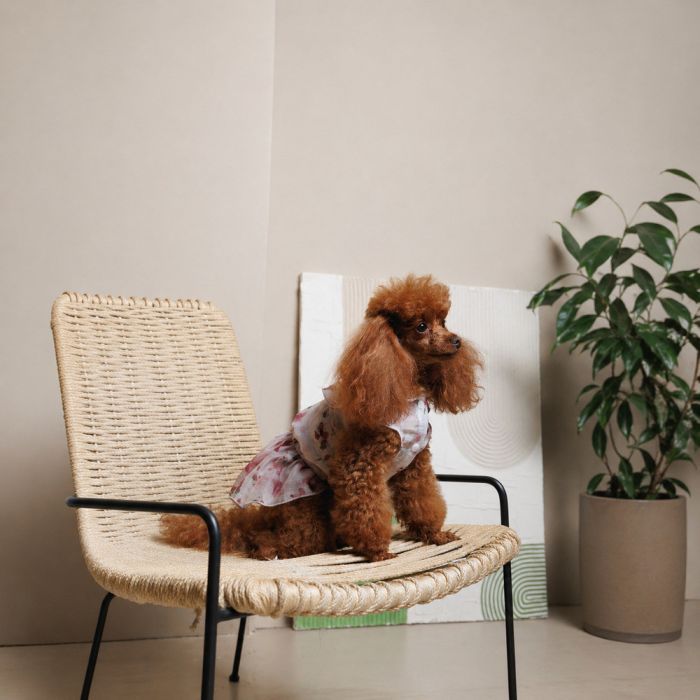 Сукня для тварин Pet Fashion Amelia М (4823082446452) зображення 7