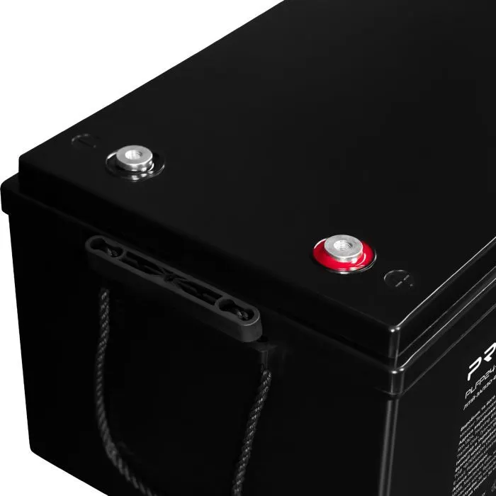 Батарея LiFePo4 Prologix 25.6V 200Ah 5120Wh (PLFP24-200) зображення 6