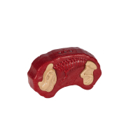 Интерактивная игрушка Same Toy Динозавр Dinosaur Planet Дракон красный со светом и звуком (RS6139AUt) изображение 4