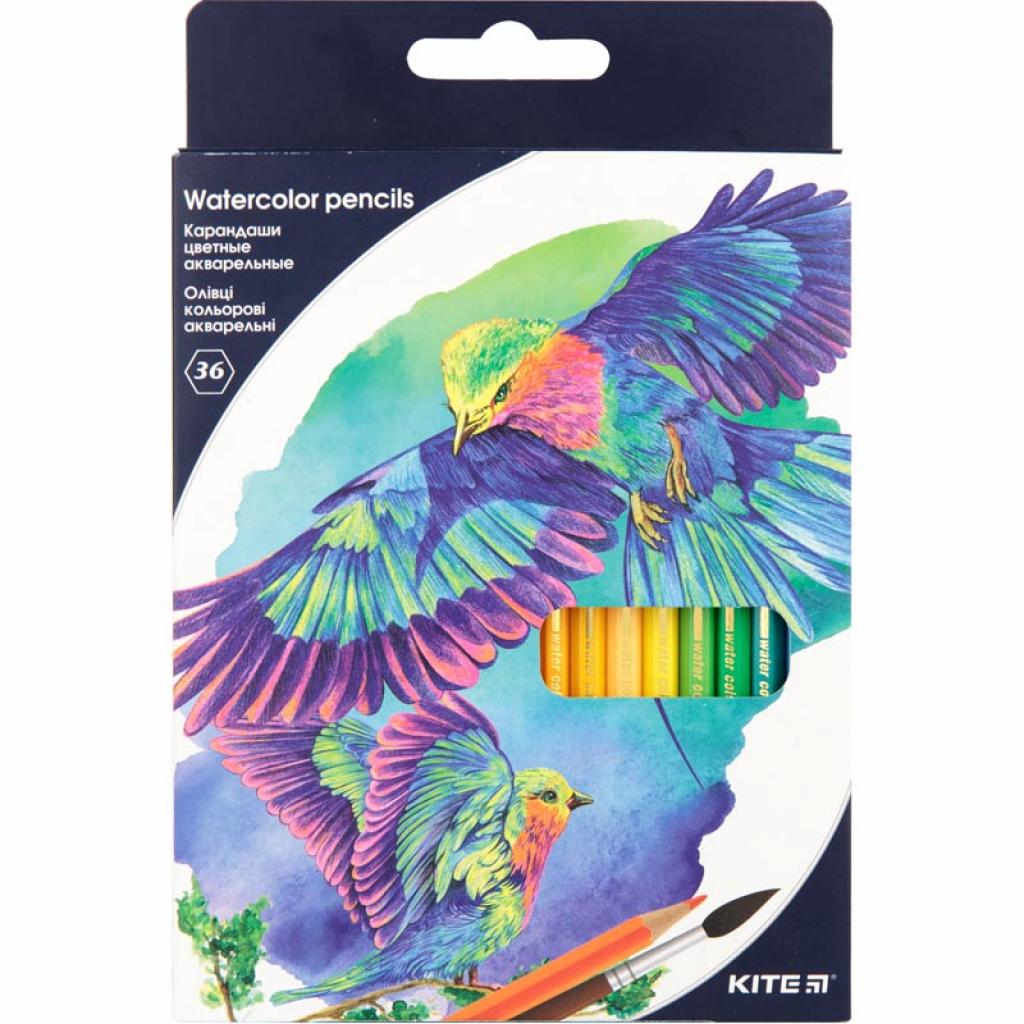 Карандаши цветные Kite Птицы акварельные 36 цветов (K18-1052)