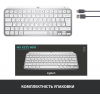 Клавиатура Logitech MX Keys Mini Wireless Illuminated Pale Grey (920-010502) изображение 8