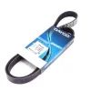 Поліклиновий ремінь DAYCO 6PK1255