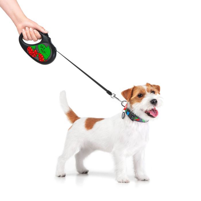 Повідець для собак WAUDOG R-leash Калина світловідбиваюча стрічка XS 3 м (8123-0228-01) зображення 3