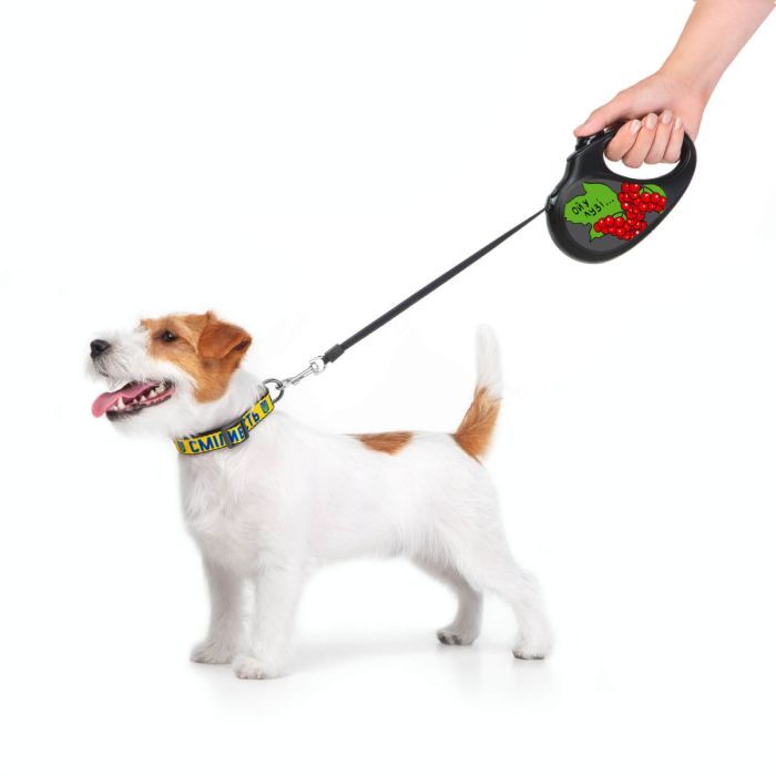 Повідець для собак WAUDOG R-leash Калина світловідбиваюча стрічка XS 3 м (8123-0228-01) зображення 5