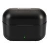 Наушники Panasonic RZ-B310W Black (RZ-B310WDG-K) изображение 6