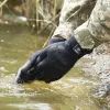Водонепроницаемые перчатки Dexshell ToughShield XL (DG458NXL) изображение 5