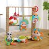 Погремушка Chicco Сова (11590.00) изображение 4