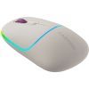 Мышка Canyon MW-22 Dual Band RGB Wireless Rice (CNS-CMSW22RC)