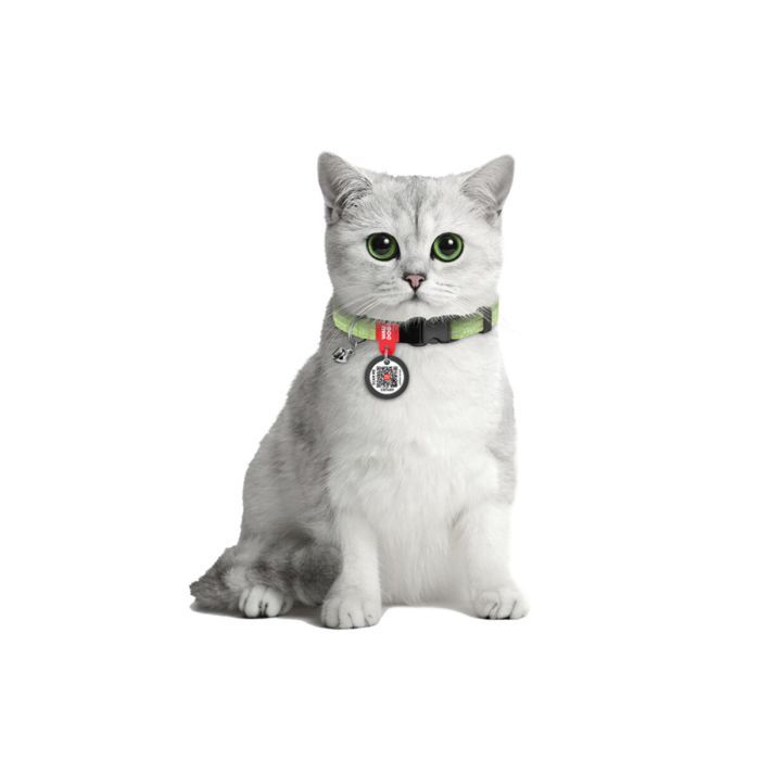 Ошейник для животных WAUDOG Re-cotton с QR паспортом, пластиковый фастекс XS оранжевый (16424) изображение 3