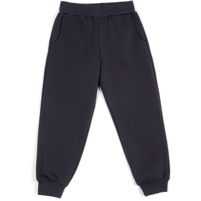 Спортивний костюм дитячий Smile флисовий (3618-128G-gray) зображення 3