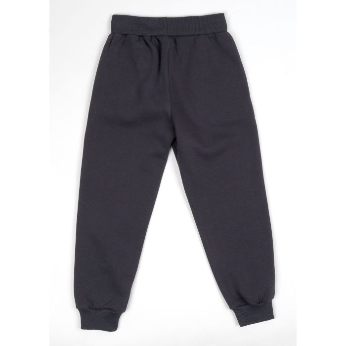 Спортивний костюм дитячий Smile флисовий (3618-128G-gray) зображення 5