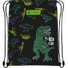 Сумка для взуття Astrabag AD1 T-Rex neon (507023014)