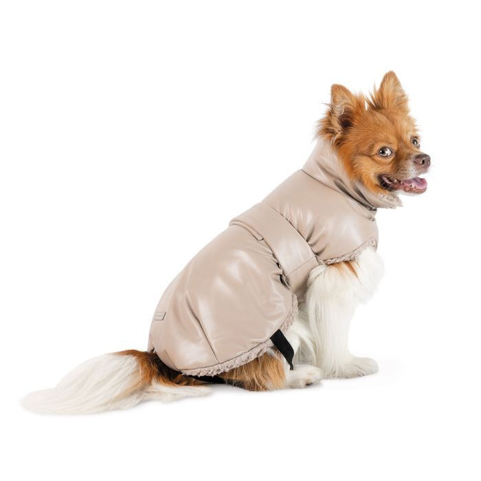 Попона для животных Pet Fashion Mikki ХS2 бежевая (4823082443093) изображение 2