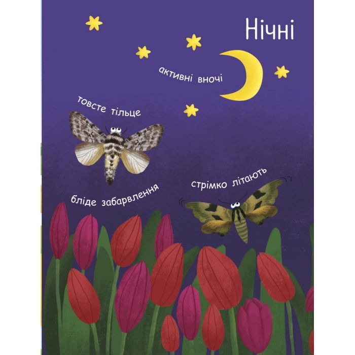 Книга Як народжується метелик? Моя перша енциклопедія - Інна Конопленко Ранок (9789667488352) изображение 10