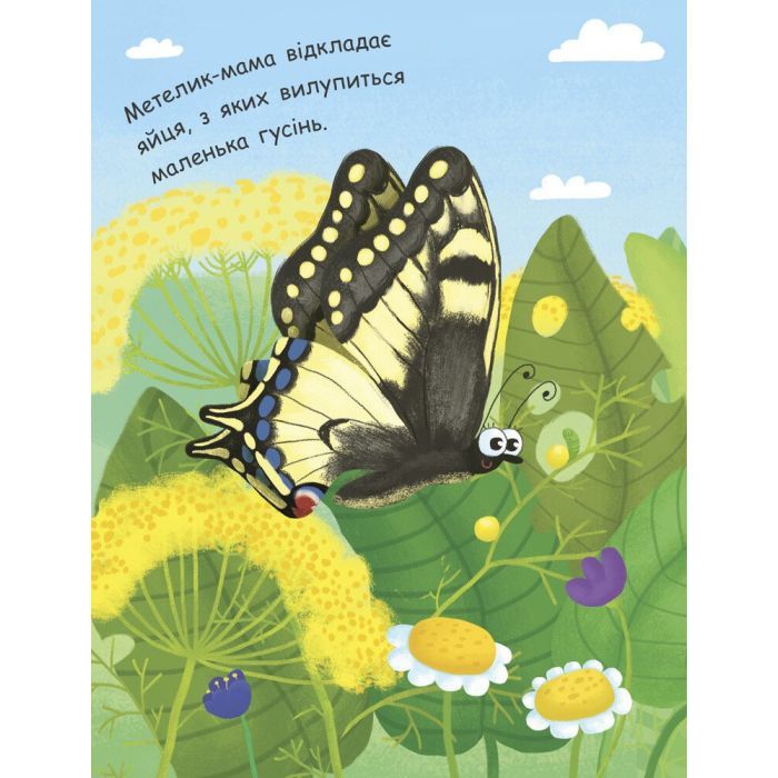 Книга Як народжується метелик? Моя перша енциклопедія - Інна Конопленко Ранок (9789667488352) изображение 2